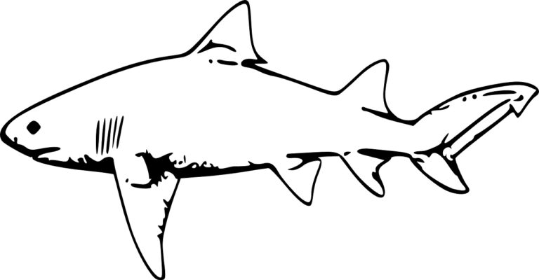 Tiger Shark Coloring Pages - Best Coloring Pages For Kids