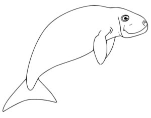 Dugong Coloring Pages - Best Coloring Pages For Kids