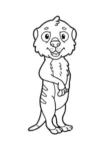 Meerkat Coloring Pages - Best Coloring Pages For Kids