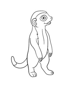 Meerkat Coloring Pages - Best Coloring Pages For Kids