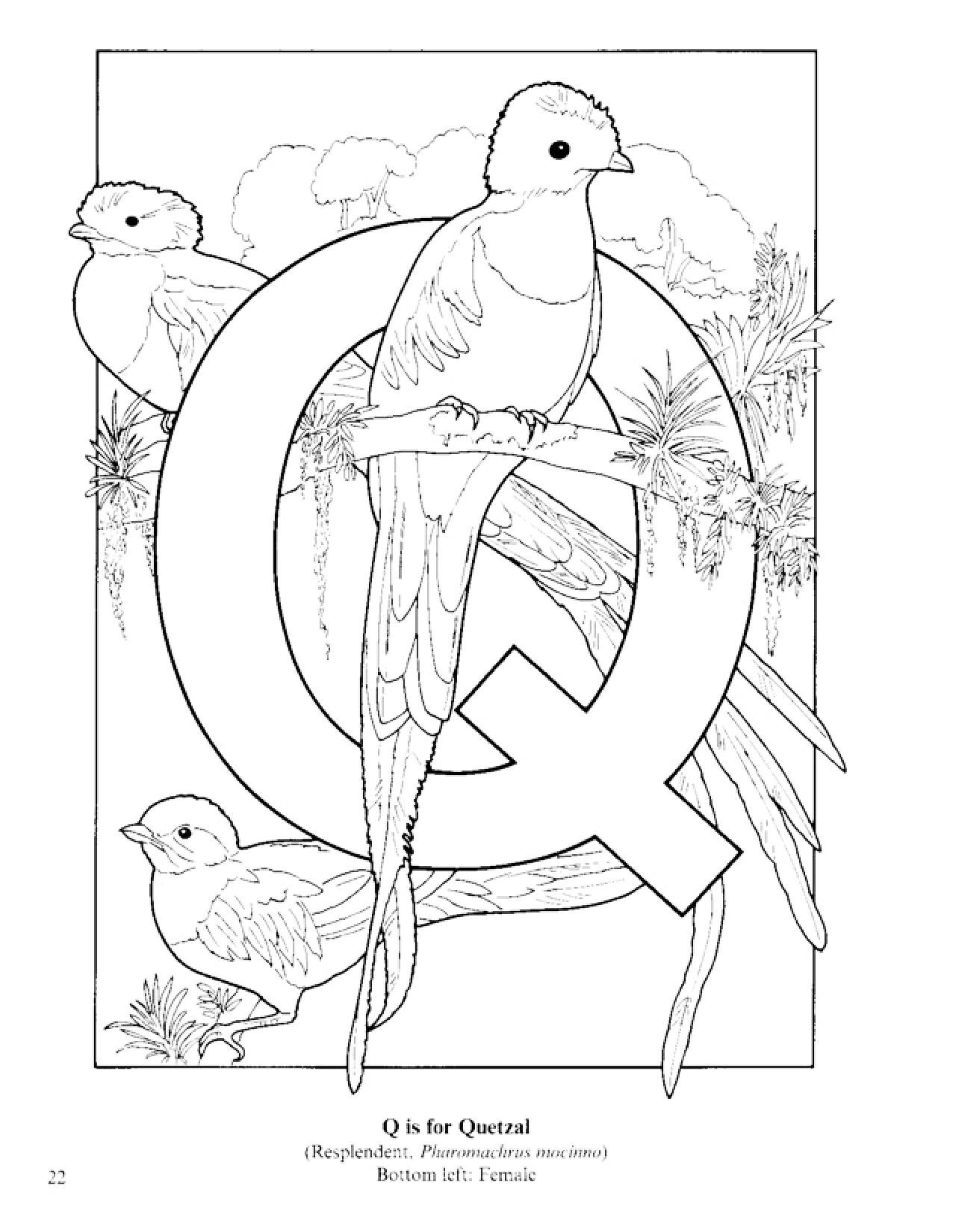 Guatemala Coloring Pages - Best Coloring Pages For Kids