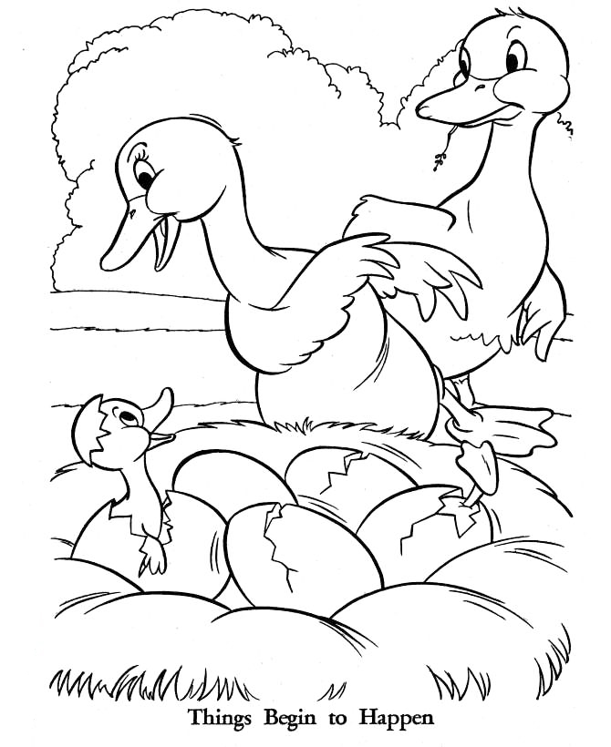 Duck Eggs Hatch Coloring Page