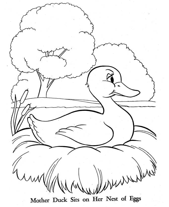 Mother Duck Sits On Eggs Coloring Page