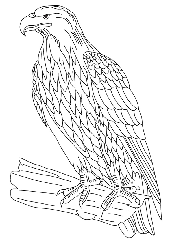 Golden Eagle National Bird Of Slovakia Coloring Page