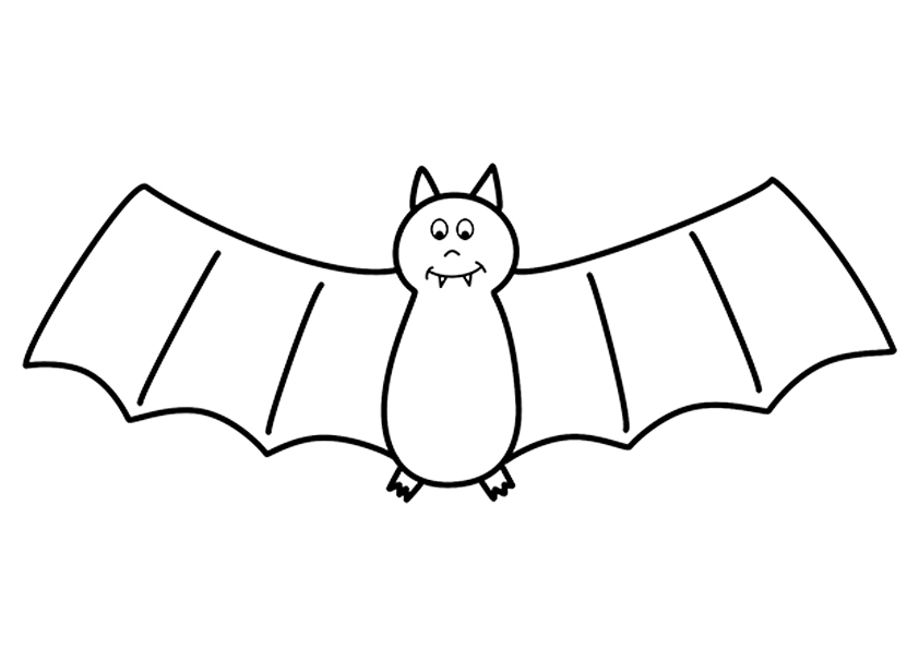 Honduras Bats Are Half The Mammal Species