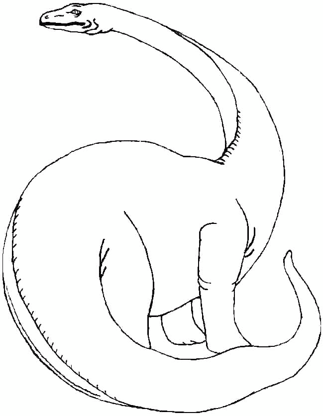 Brontosaurus Lineart Coloring Page