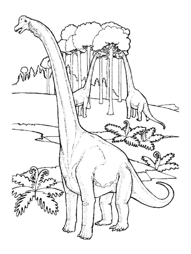 Brontosaurus In The Wild Coloring Page