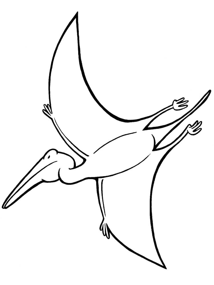Flying Pterodactyl Coloring Page
