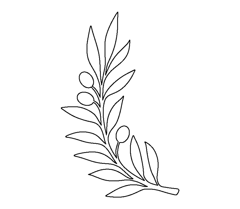 Olive Branch Coloring Page