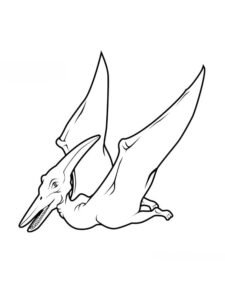 Pterodactyl Coloring Pages - Best Coloring Pages For Kids