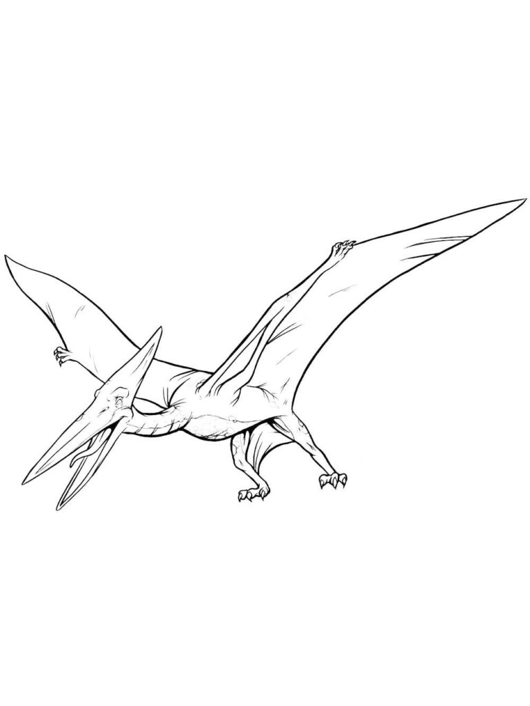 Pterodactyl Printable Coloring Page