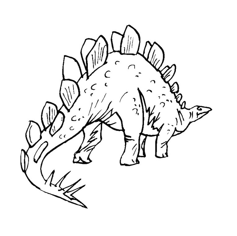 Stegosaurus Coloring Page