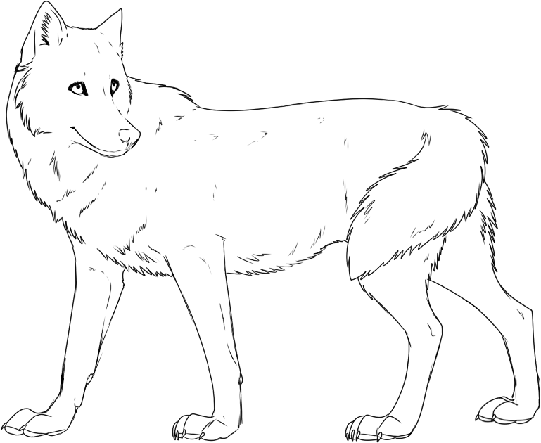 Wolf National Animal Of Estonia Coloring Page