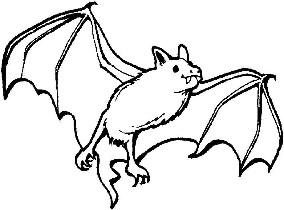 21 Bat Species Inhabit Caves In Jamaica Coloring Page