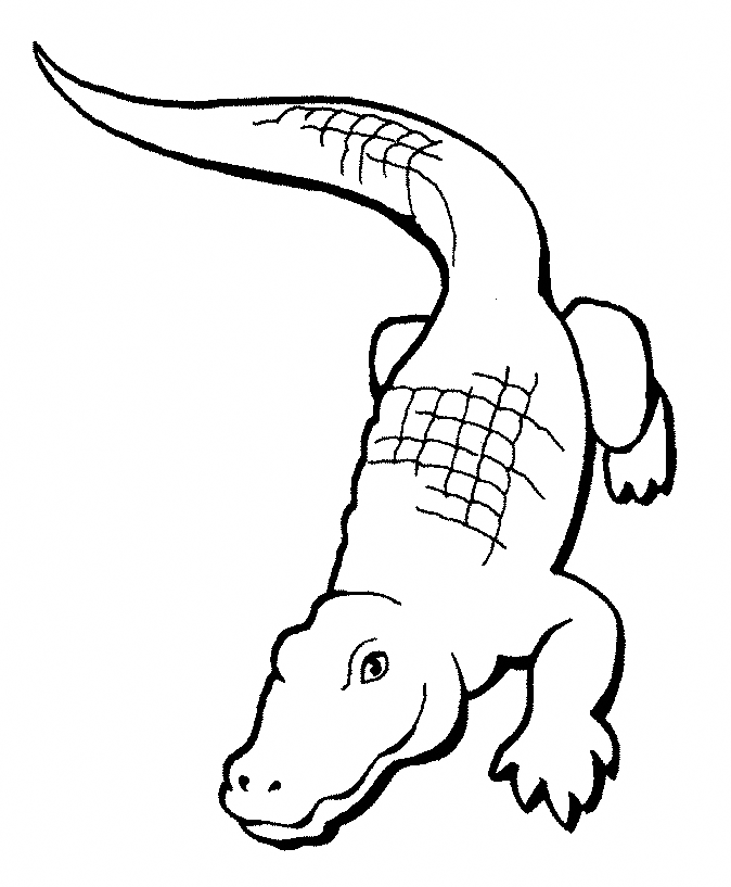 Crocodiles In Niger Coloring Page