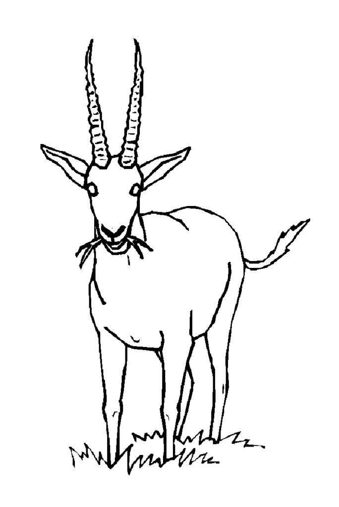 Dama Gazelle National Symbol In Niger Coloring Page