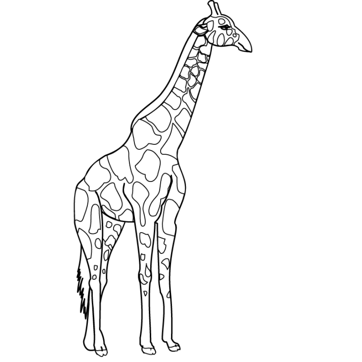 Giraffe In Zimbabwe Coloring Page