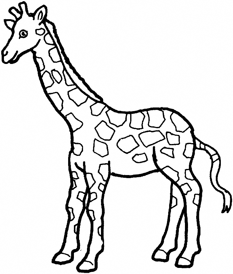 Giraffes In Niger Coloring Page