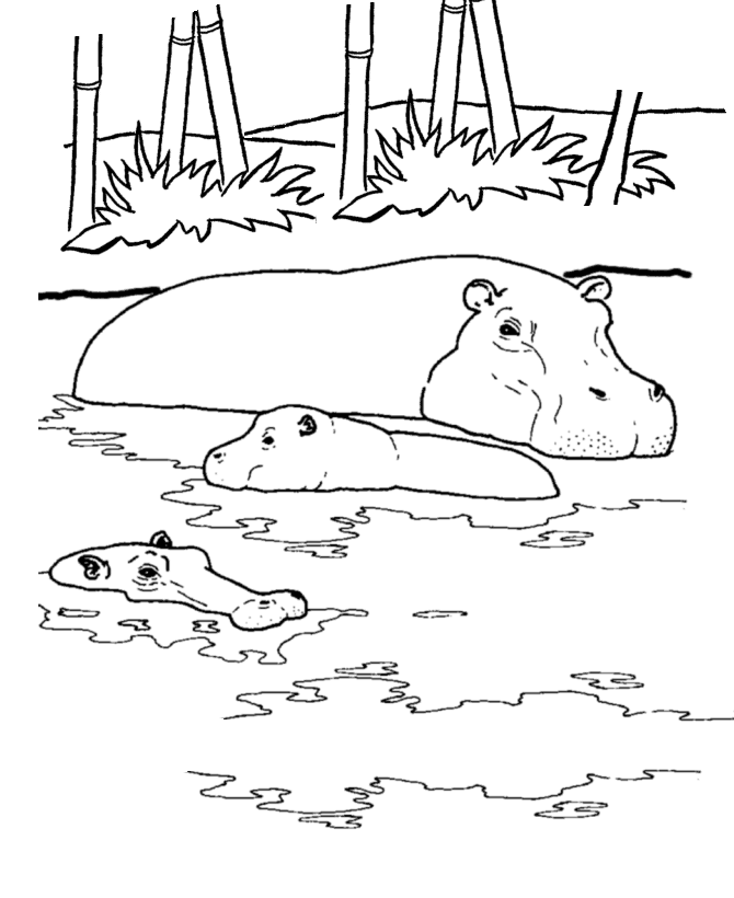 Hippopotamus In Niger Coloring Page