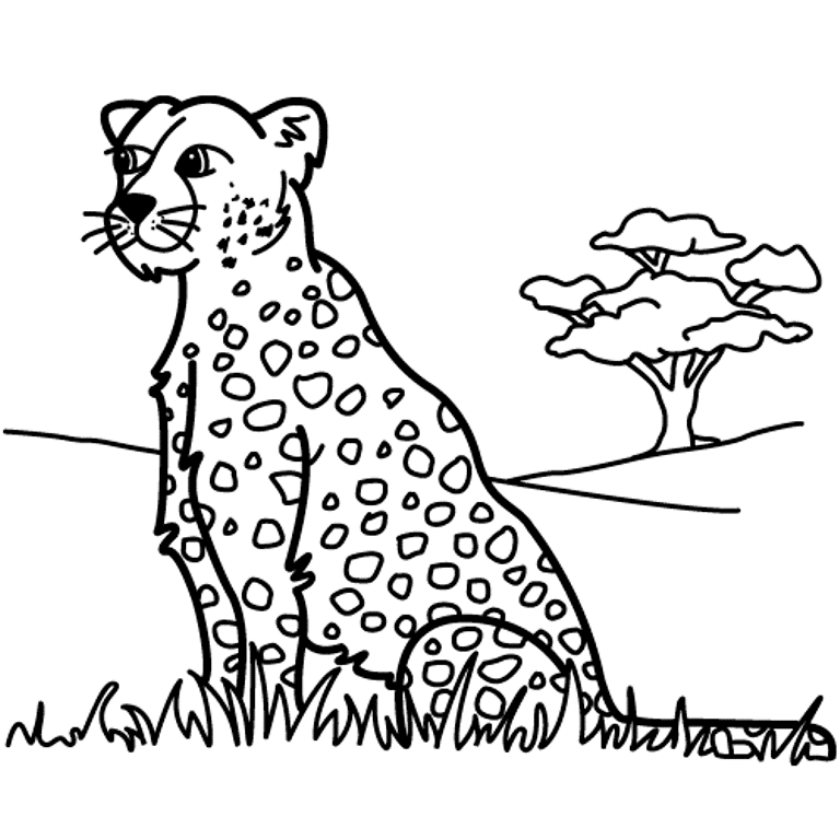 Leopard In Zimbabwe Coloring Page