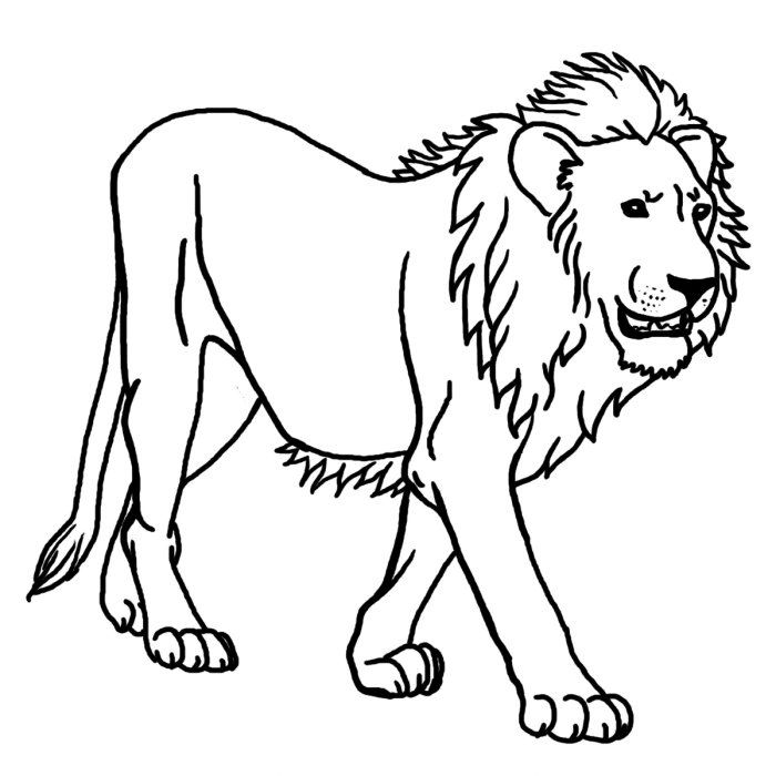 Lions In Niger Coloring Page