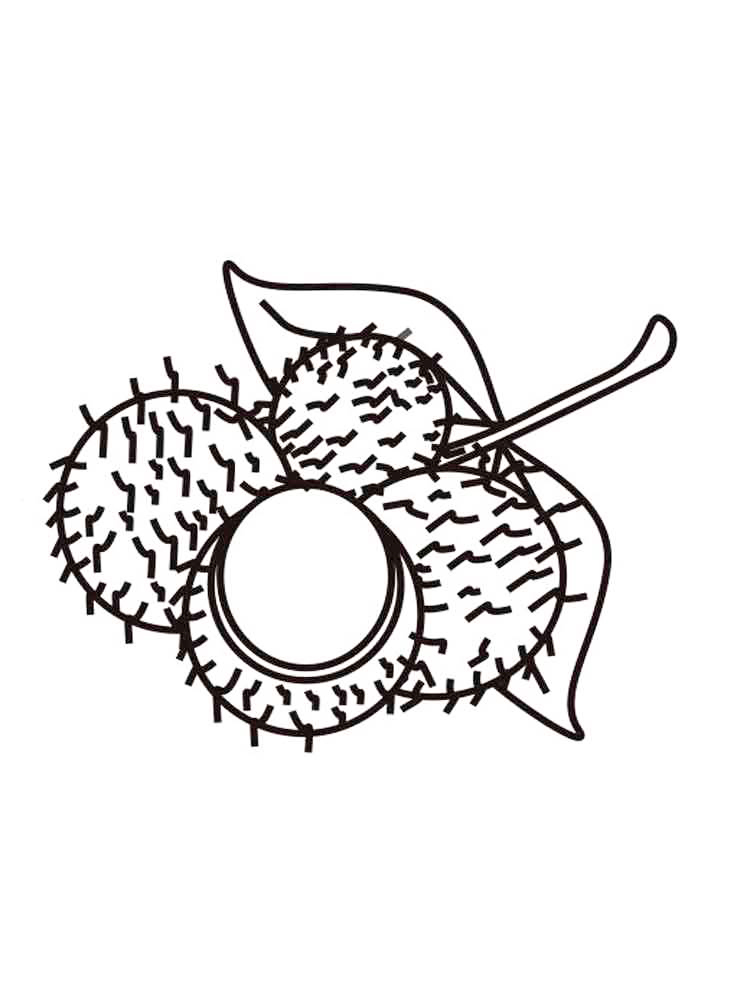 Rambutan National Fruit Of Panama Coloring Page