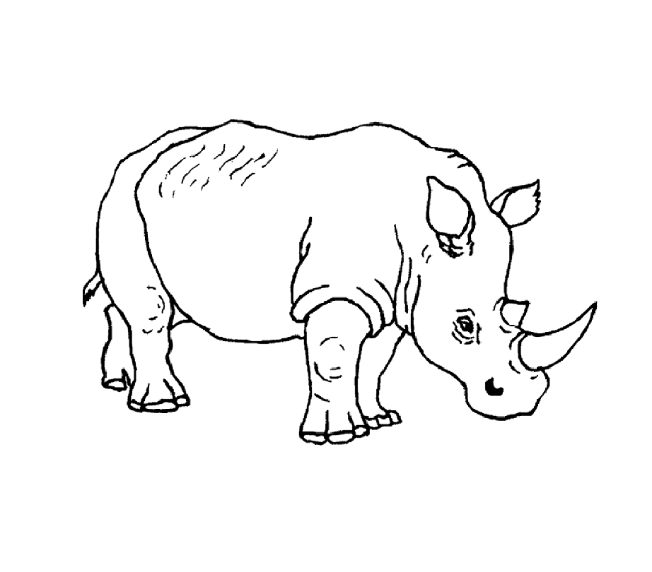 Rhinoceros Coloring Page