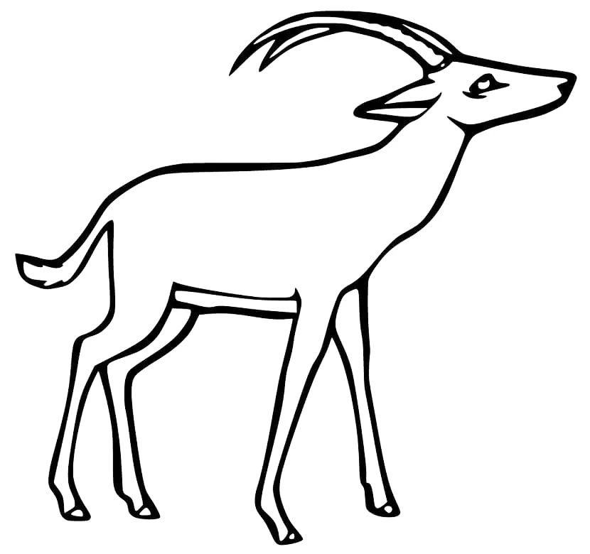 Sable Antelope National Animal Of Zimbabwe Coloring Page