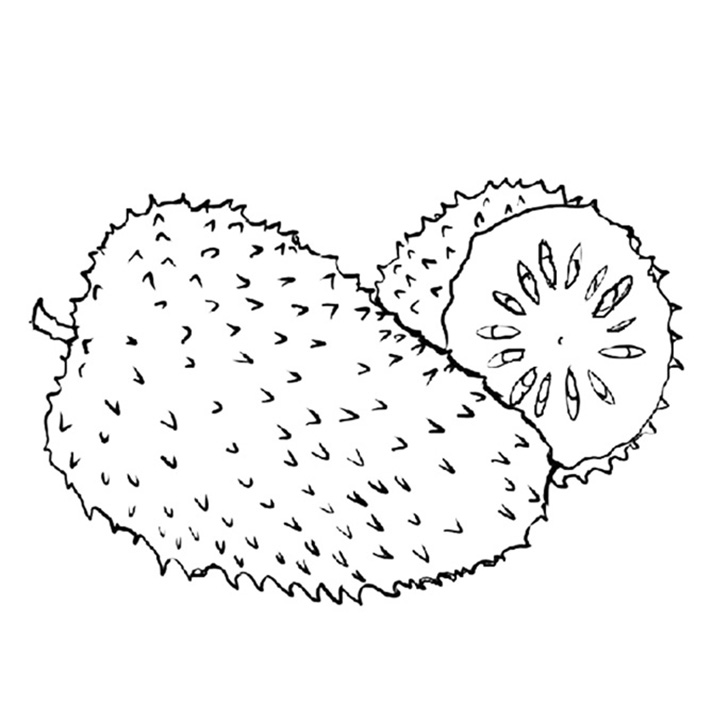 Soursop National Fruit Of Costa Rica