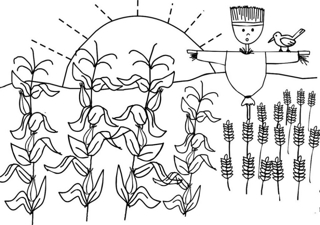 Corn And Wheat Farm Coloring Page