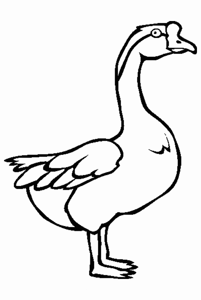 Golden Goose Coloring Page