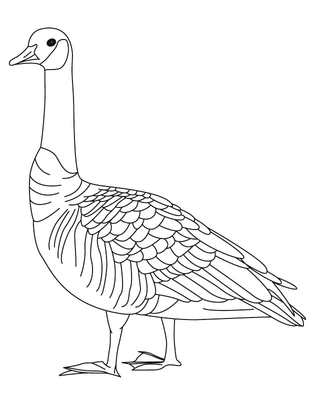 Golden Goose Coloring Page