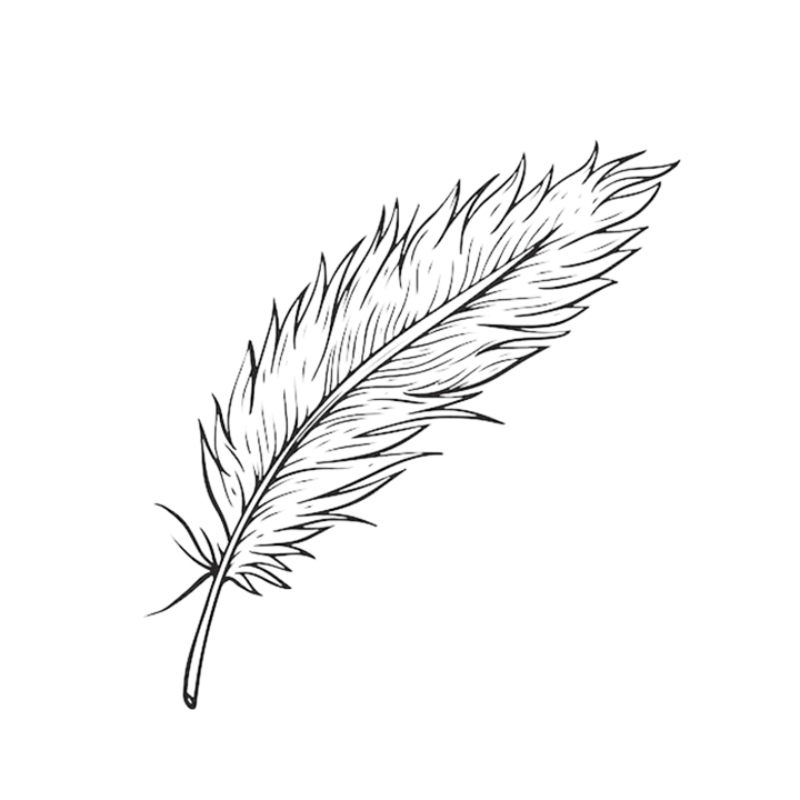 Goose Feather Coloring Page