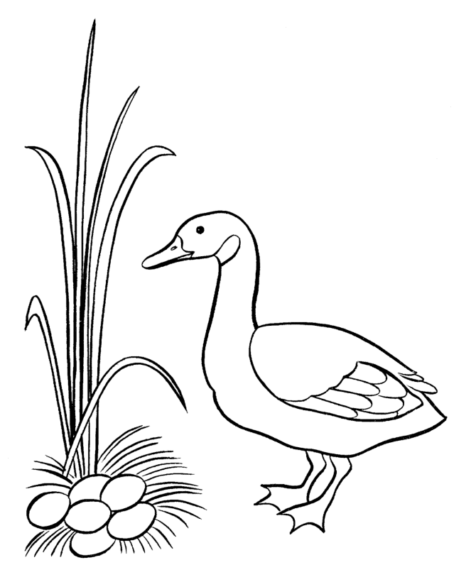 Goose And Eggs Coloring Page