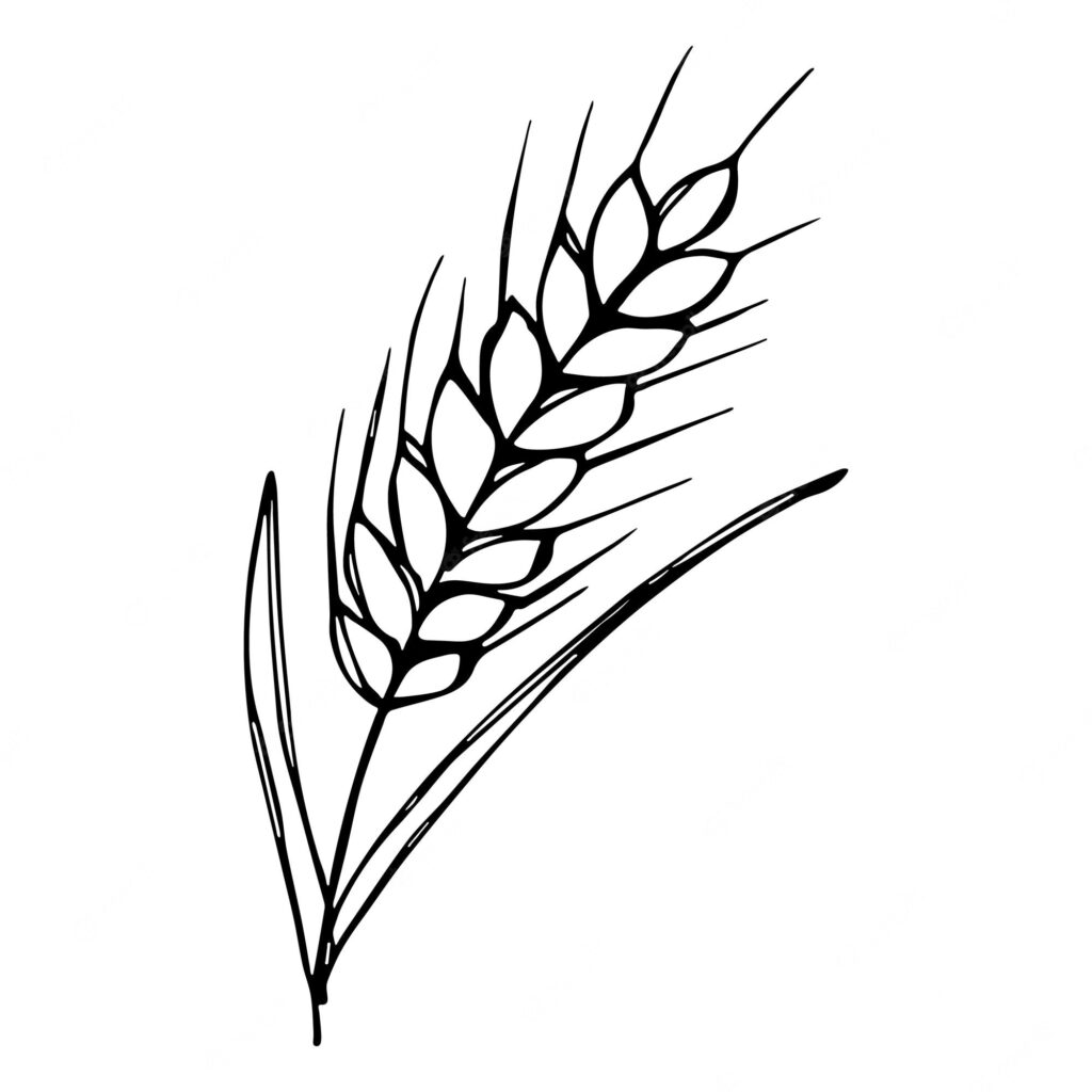 Sprig Of Wheat Coloring Page