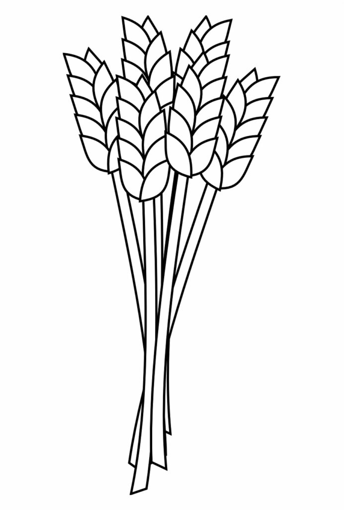 Wheat Coloring Pages