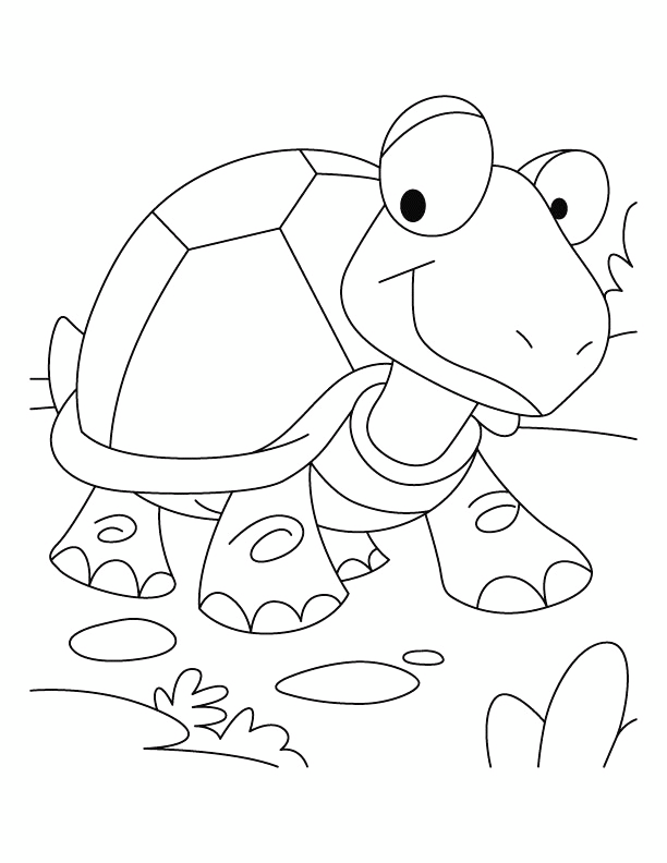 Cute Tortoise Coloring Page