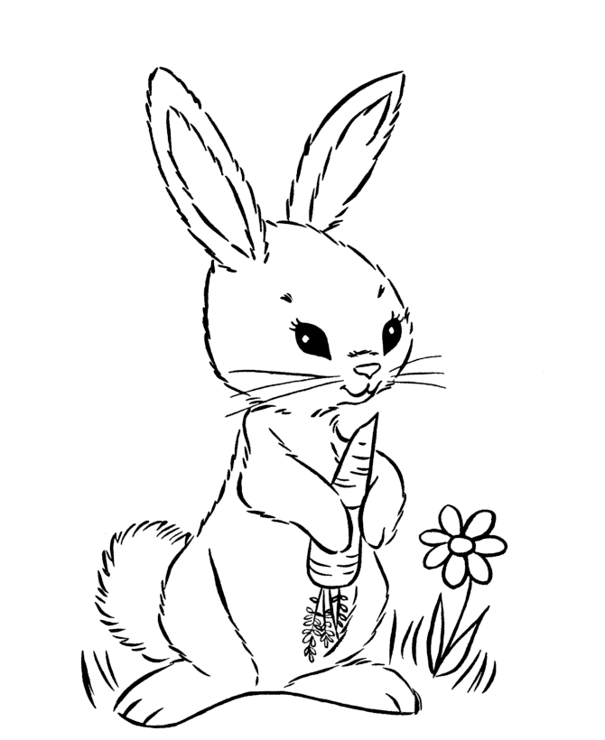 Hare With Carrot Coloring Page