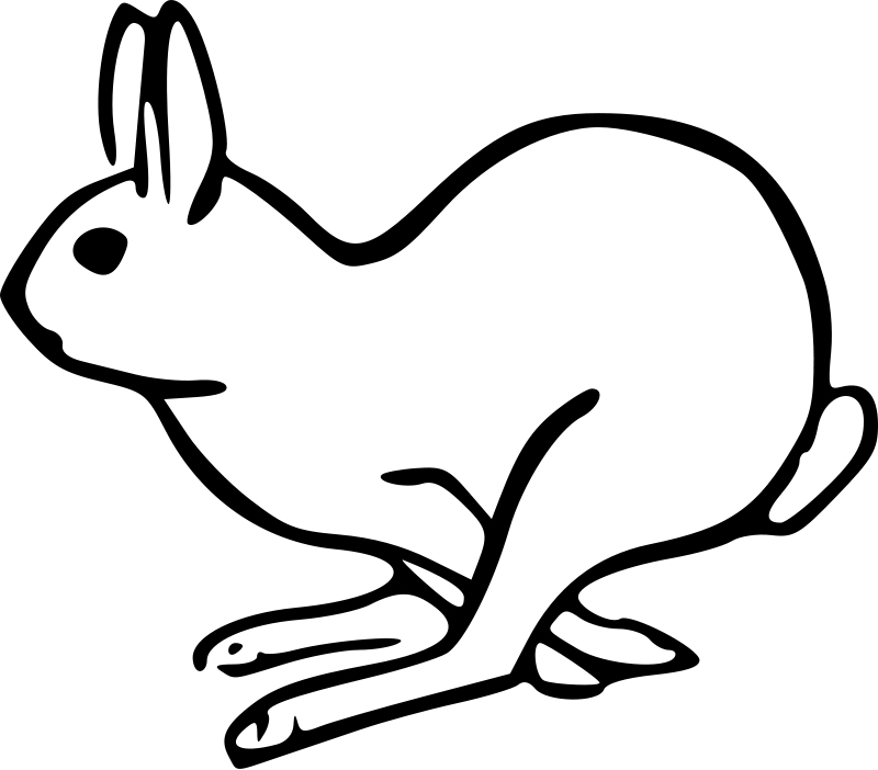 Running Hare Coloring Pages