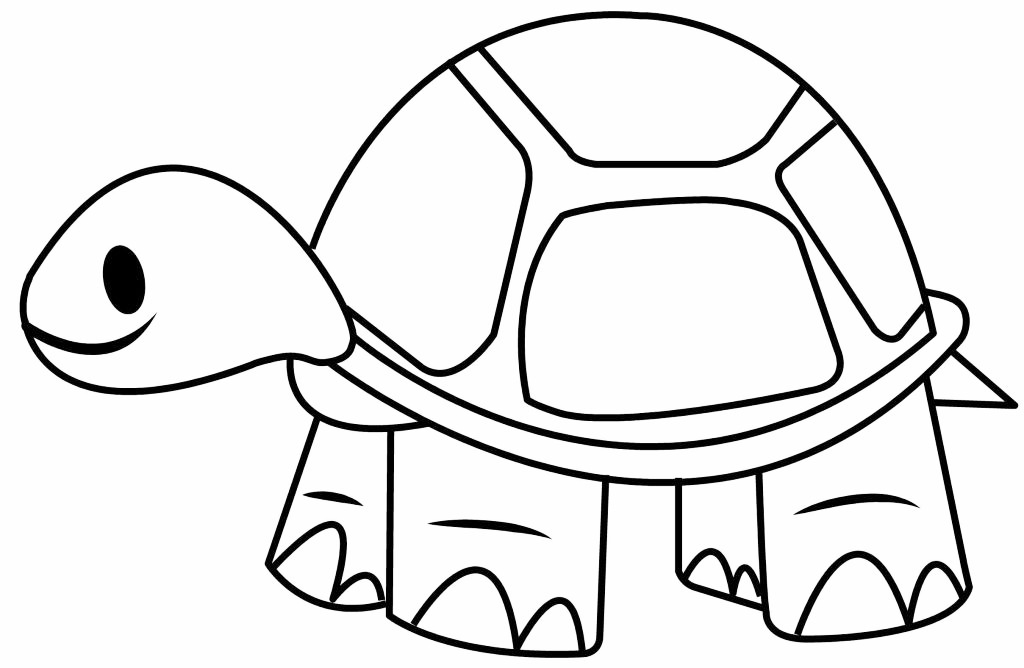 Tortise Coloring Page