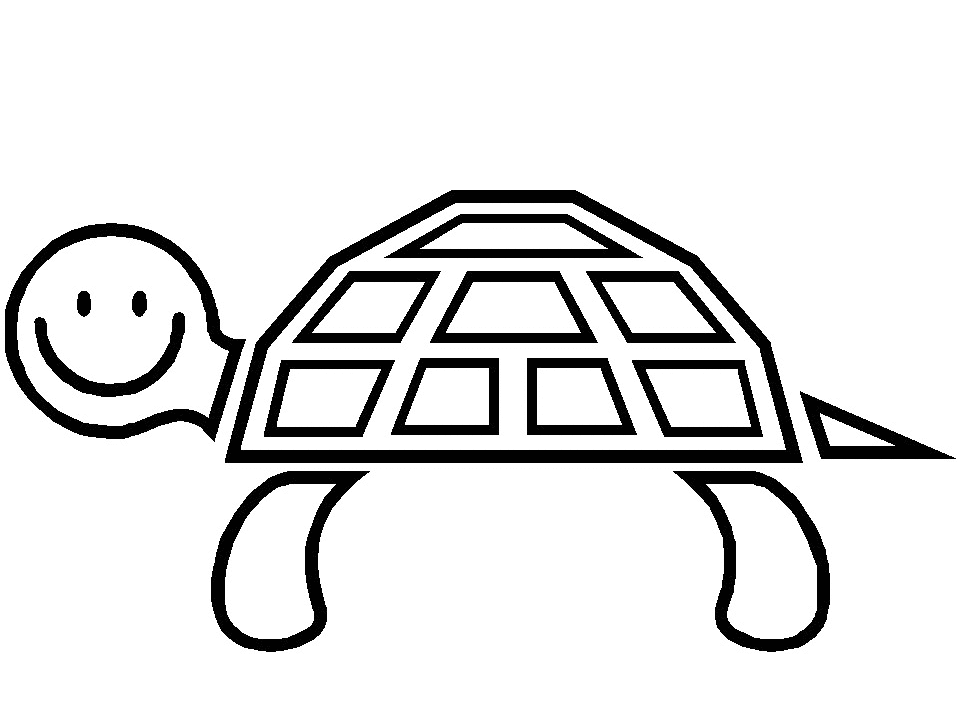 Tortise Coloring Pages