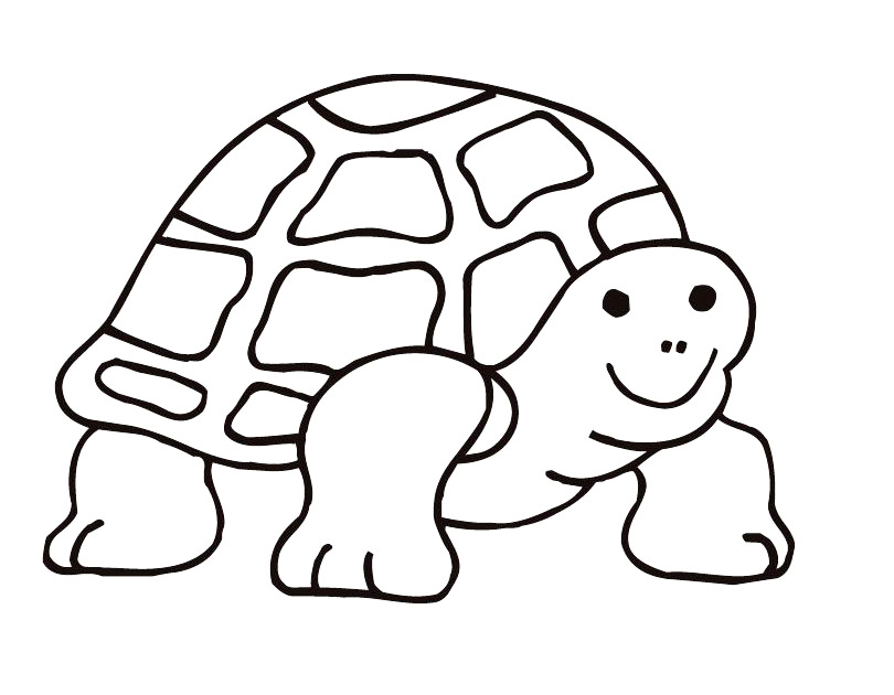 Tortoise Coloring Page