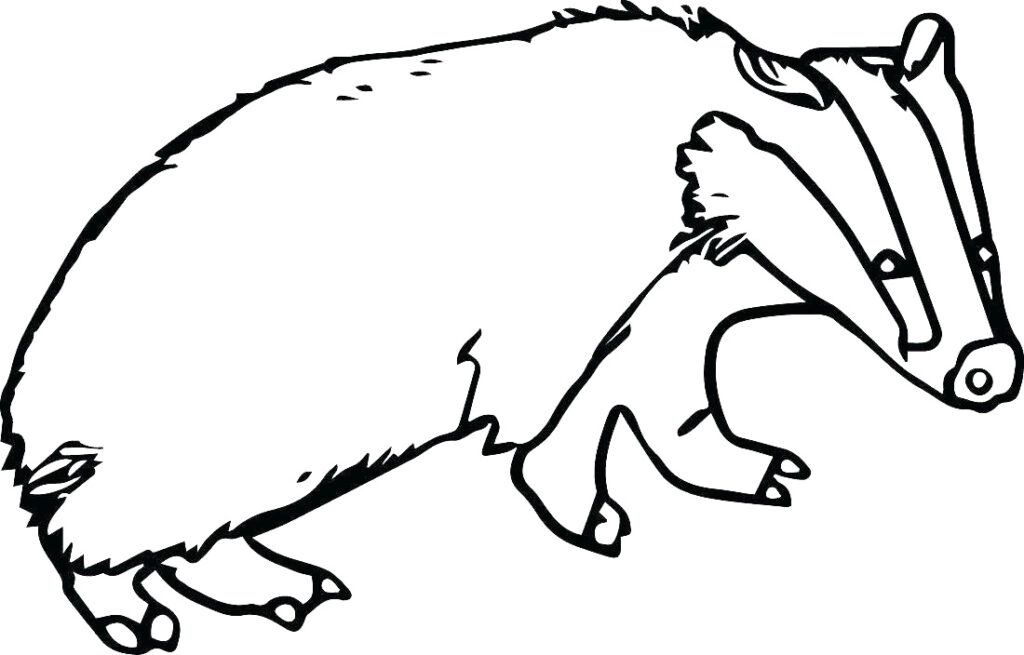 Badger Coloring Page