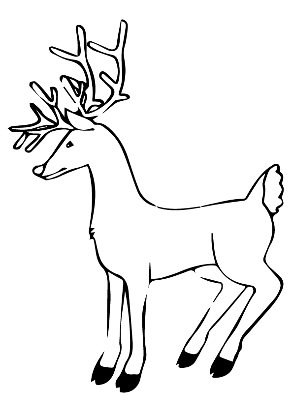 Deer Coloring Page