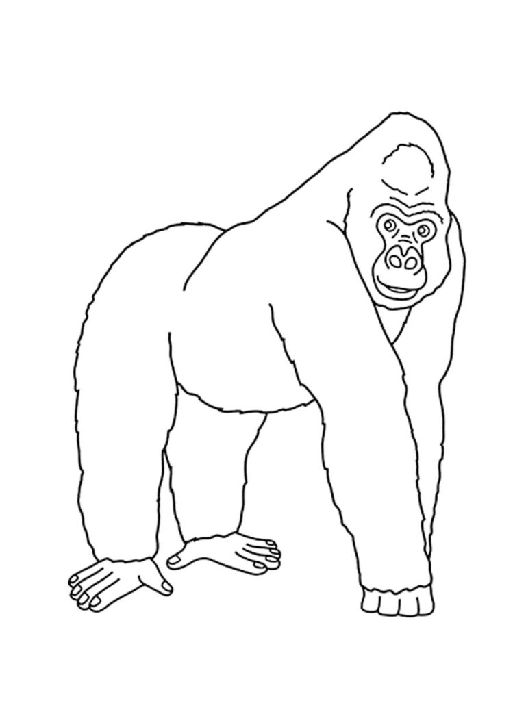 Gorilla Coloring Page