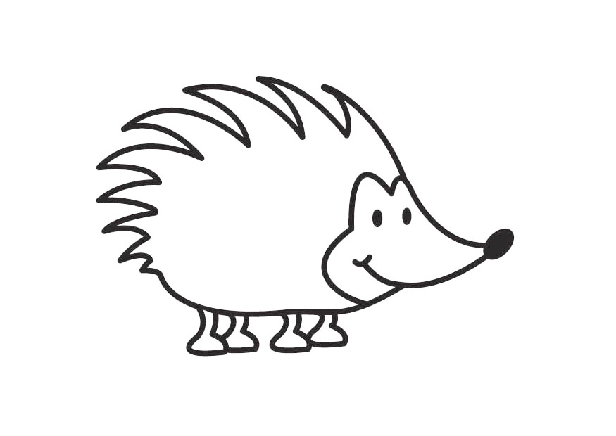 Hedgehog Coloring Page