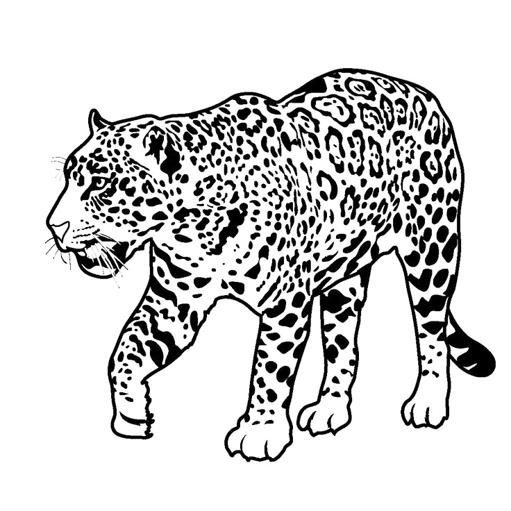 Jaguar Coloring Page