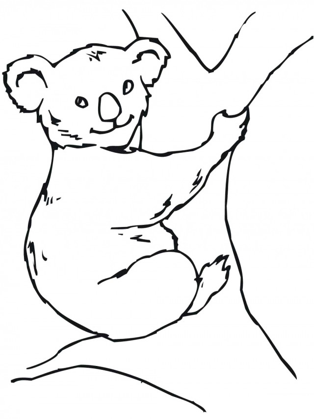 Koala Coloring Page