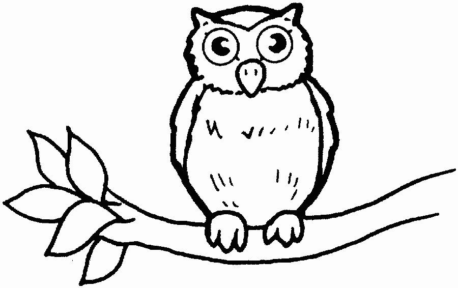 Owl Coloring Page