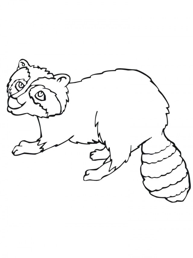 Raccoon Coloring Page